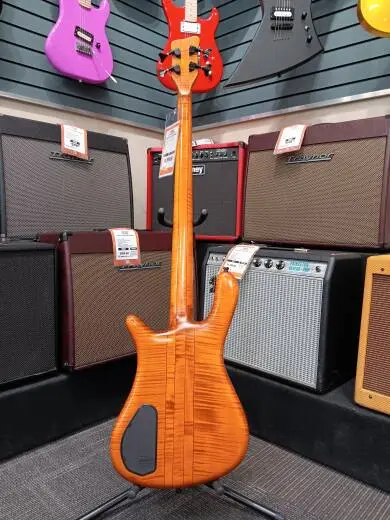 Warwick - Streamer Stage 1 Bass - Honey Violin Oil finish 2
