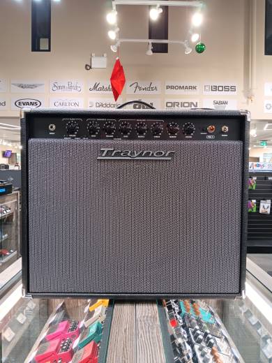 Store Special Product - Traynor - YGL2 Combo Amp