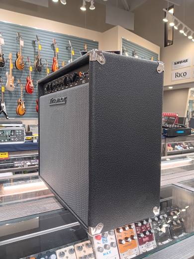 Store Special Product - Traynor - YGL2 Combo Amp
