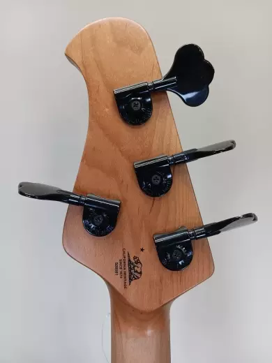Ernie Ball Music Man - DarkRay 4 String Bass - Starry Night 2