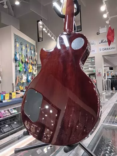 Epiphone - Slash Les Paul - Anaconda Burst 2