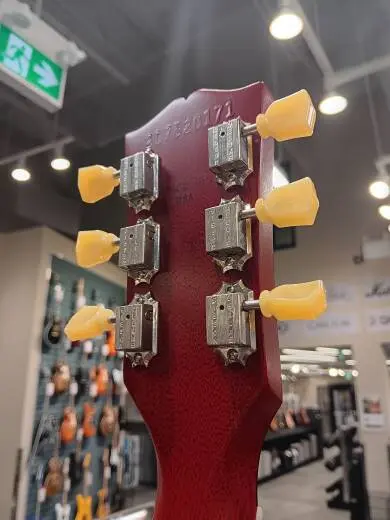 Gibson - SG Standard Faded '61 w/Maestro - Vintage Cherry 2