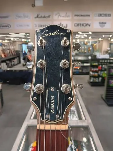 Godin Guitars - Radium Carbon Black 2