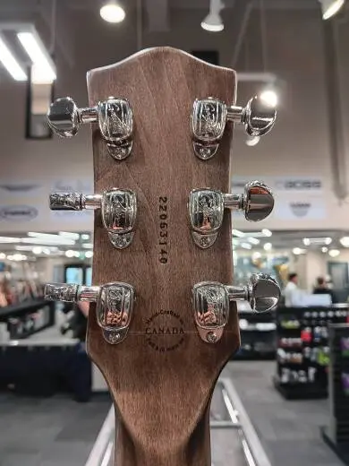 Godin Guitars - Radium Carbon Black 2