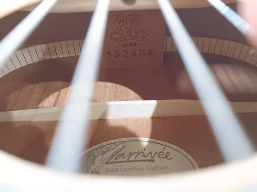 Larrivee - D-02 2