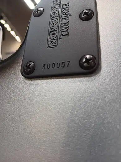 Ernie Ball Music Man - StingRay4 Special 4 H Electric Bass with Case - Black Rock 2