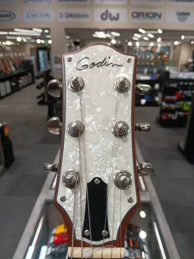 Godin Guitars - Radiator Electric Guitar with Gig Bag - Bourbon Burst 2