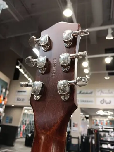 Godin Guitars - Radiator Electric Guitar with Gig Bag - Bourbon Burst 2