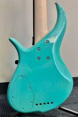 FBASS BN5 DELUXE 4
