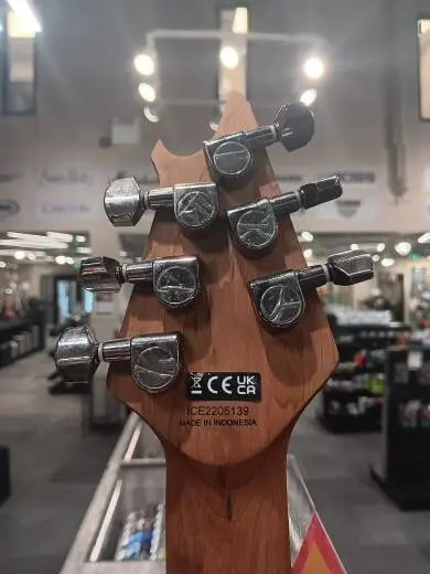 EVH - Wolfgang WG Standard, Baked Maple Fingerboard - Gloss Blac 2