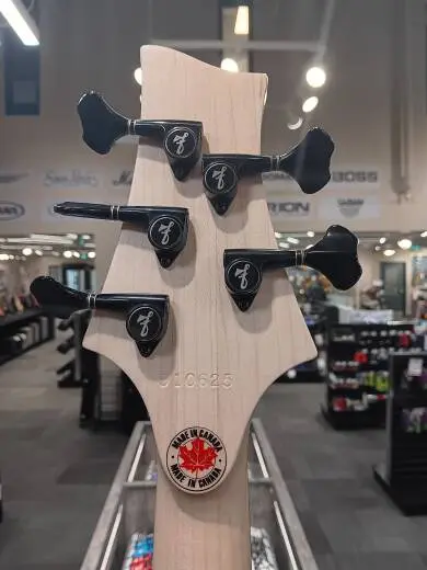 F Bass - BN5 Deluxe Ebony Fingerboard - Black Ceruse 2