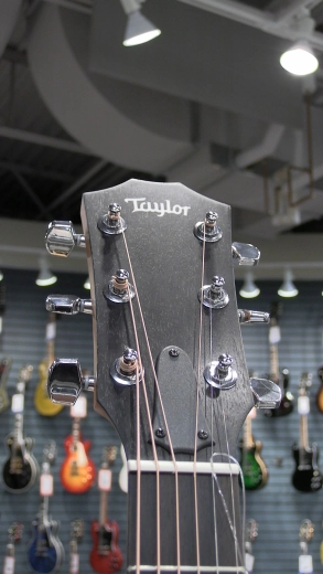 Taylor Guitars - 214CE-DLX V1 4