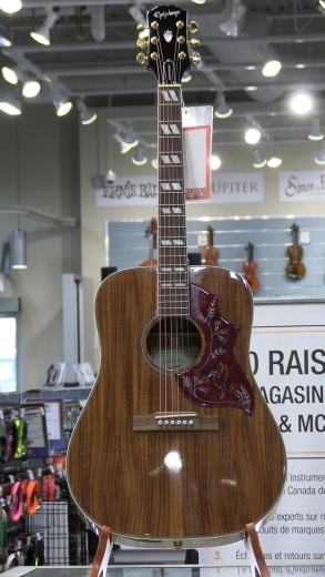 Epiphone - Hummingbird Koa