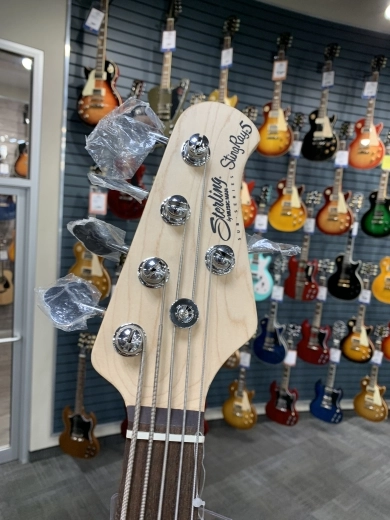 Store Special Product - Sterling by Music Man - RAY5-VC-J1