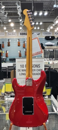 Fender - American Pro II Strat 2