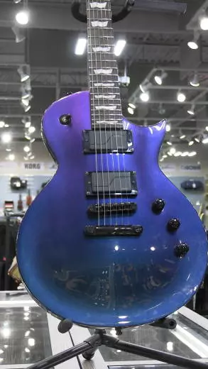 ESP EC-1000VLAND GUITAR w/FORMFIT CASE 2