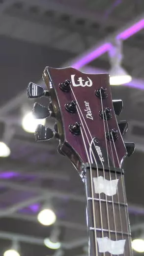 ESP EC-1000VLAND GUITAR w/FORMFIT CASE 2