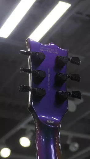 ESP EC-1000VLAND GUITAR w/FORMFIT CASE 2