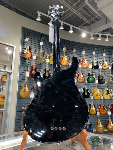 PRS Guitars - SE Kestrel Bass 2