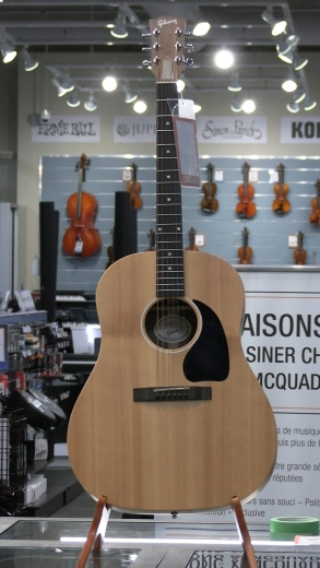 Gibson - ACG45SANNH