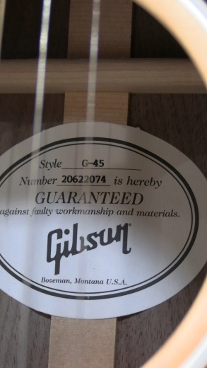 Gibson - ACG45SANNH 2
