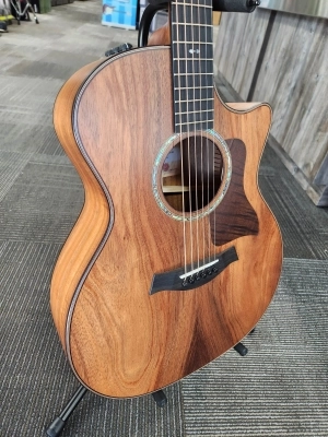 Taylor Guitars - 724CE 3