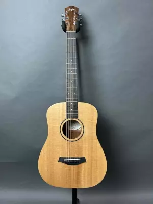 Taylor Guitars - BT1E V1