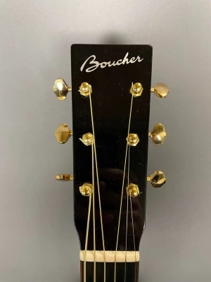 Boucher Bluegrass Goose Acoustic 2