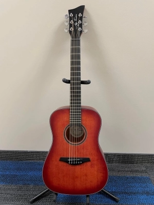 Jay Turser 3/4 Acoustic Guitar