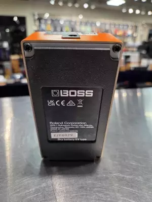 Store Special Product - BOSS - DS-1W