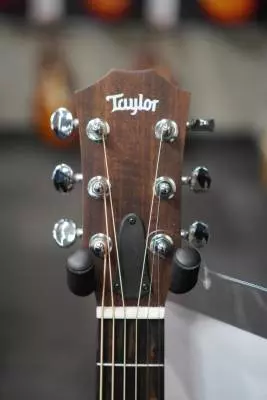 Store Special Product - Taylor Guitars - GS MINI M