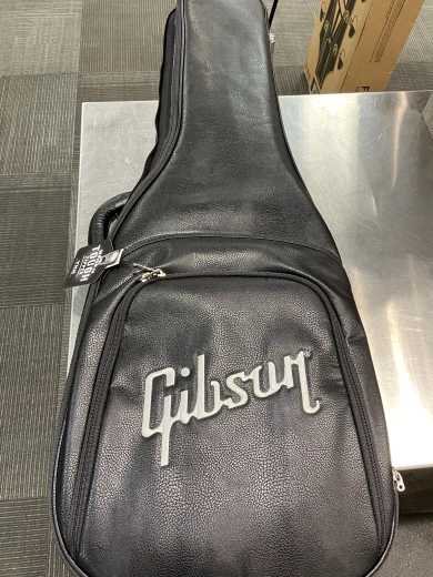 Gibson - SGTR00WANH 6