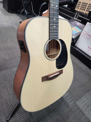 Store Special Product - Denver - MAHOGANY DREADNOUGHT w/PU