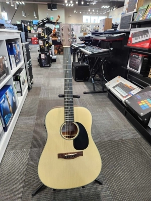 Store Special Product - Denver - MAHOGANY DREADNOUGHT w/PU