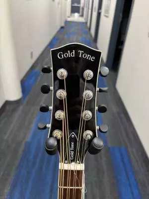 Gold Tone - MANDOCELLO 2