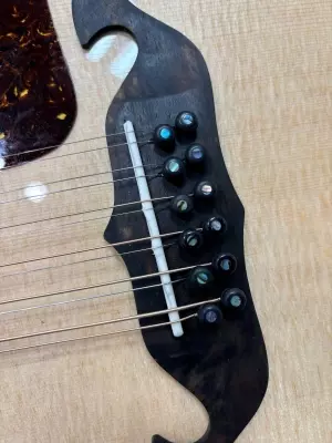 Taylor Guitars - 855E LTD 7
