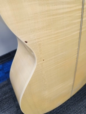 Takamine - EG523SC-12 2