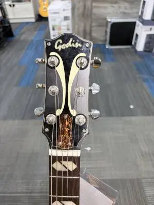 Godin Guitars - G51502 2
