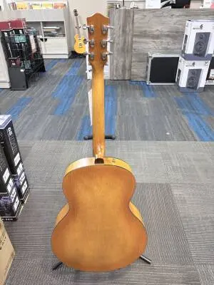 Godin Guitars - G51502 2