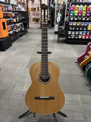 Store Special Product - Godin Guitars - G49622