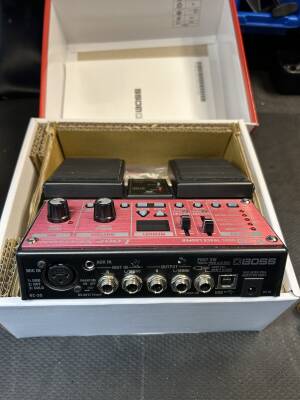 BOSS Twin Pedal - Loop Station | Long & McQuade