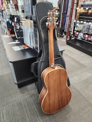 PRS Guitars - 106997:VM 3