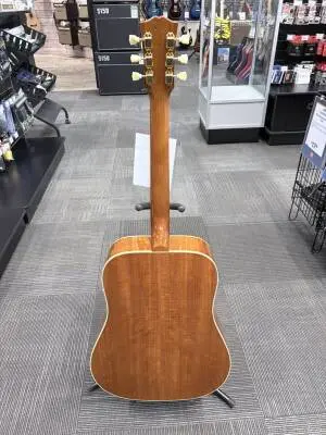 Gibson - ACOHBHCGH 2