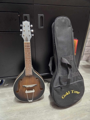 Gold Tone - A-6 SB