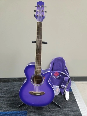 GYPSEY ROSE ACOUSTIC GUITAR PACK