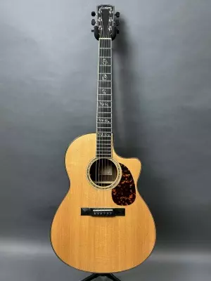 larriee acoustic lsv-11