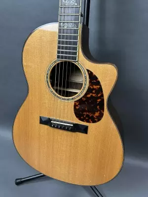 larriee acoustic lsv-11 2