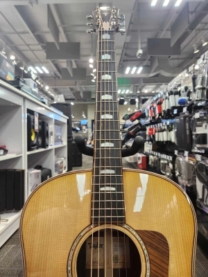 Taylor Guitars - 818E V-CLASS 2