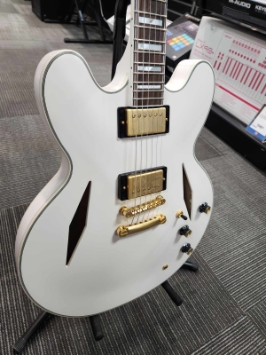 Store Special Product - Epiphone - EMILY WOLFE WHITE WOLFE SHERATON