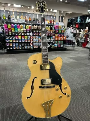 Washburn J-6s 2